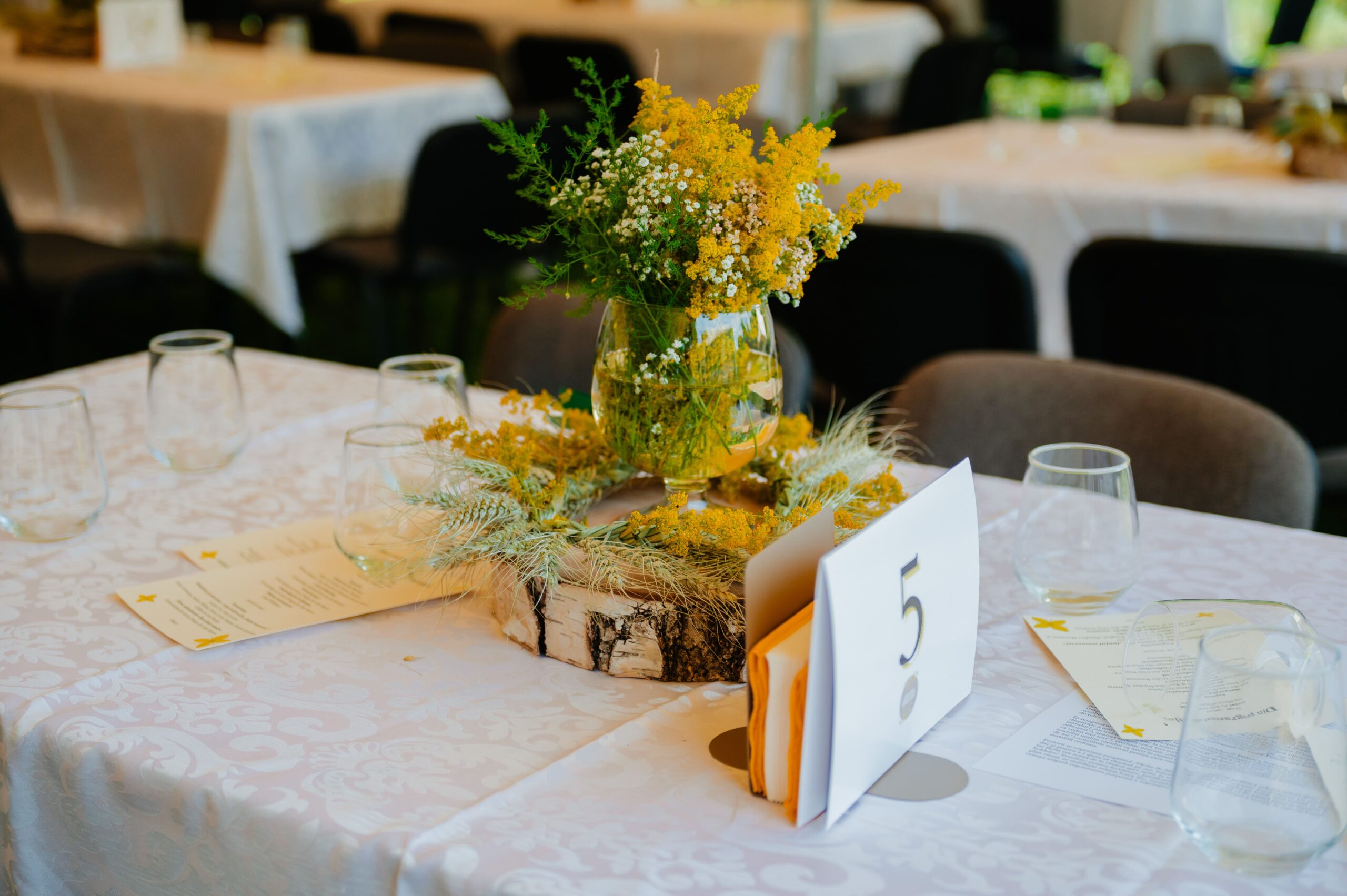 SS2025 (3 of 499)
