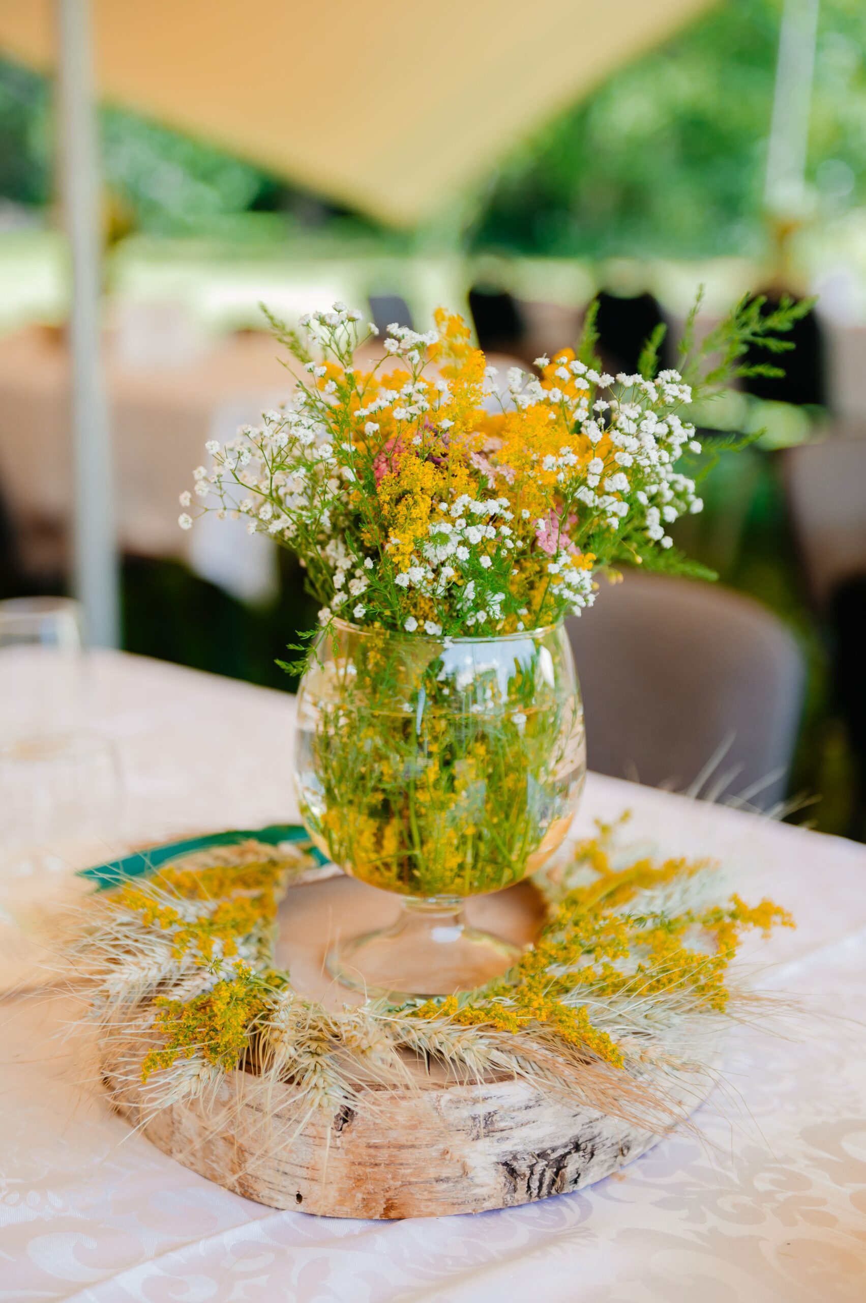 SS2025 (6 of 499)