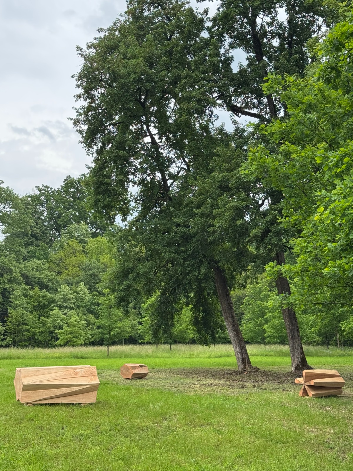 constelatie castel salbek 2